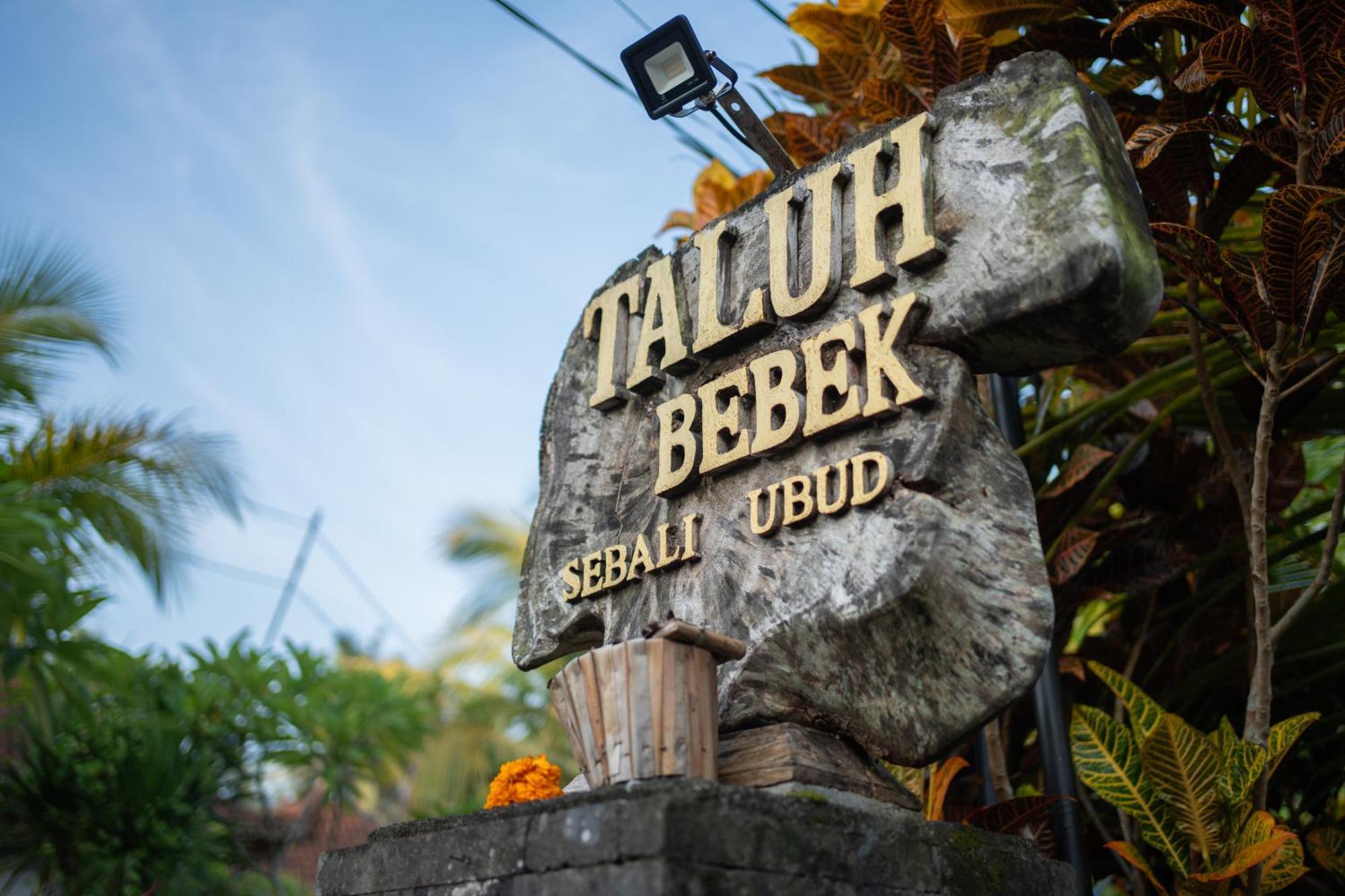 Taluh Bebek Ubud Private Villas Exterior foto